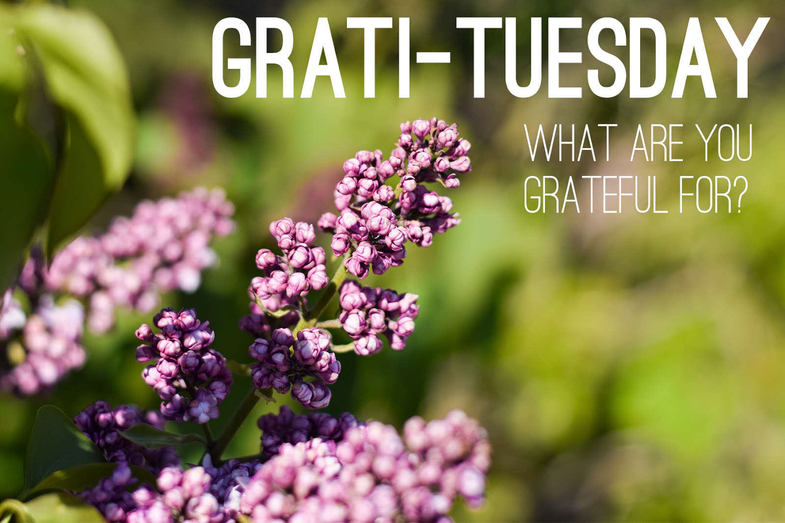 Grati-Tuesday