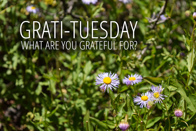 Grati-Tuesday